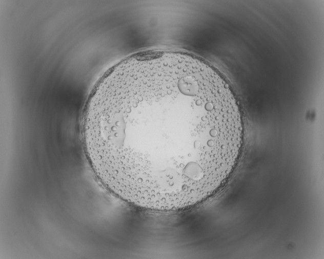 X0000110900856200907301605