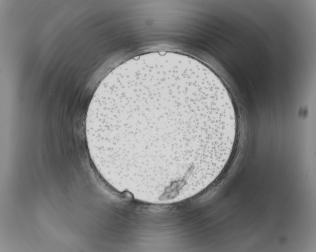 X0000110900857200907301605