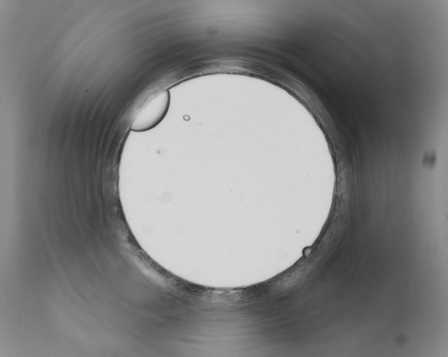 X0000110900858200907301605