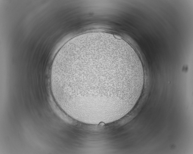 X0000110900859200907301605