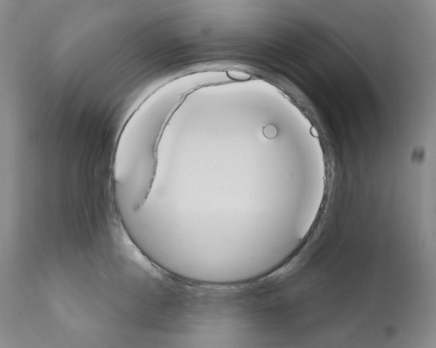 X0000110900860200907301605