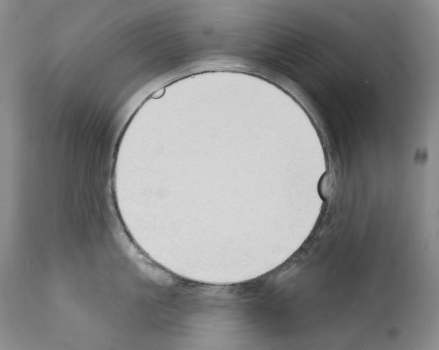 X0000110900861200907301605