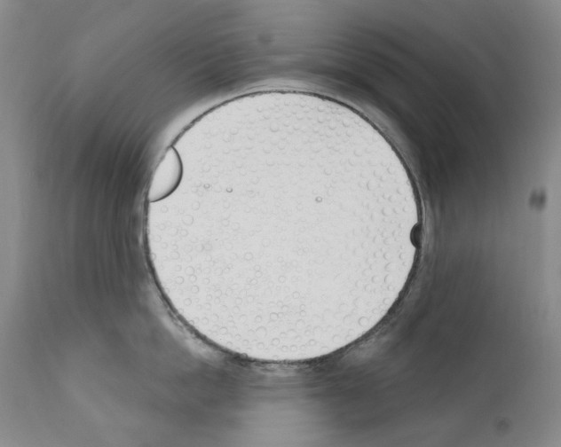 X0000110900862200907301605