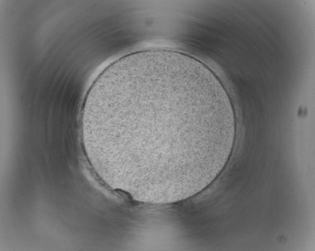 X0000110900864200907301605