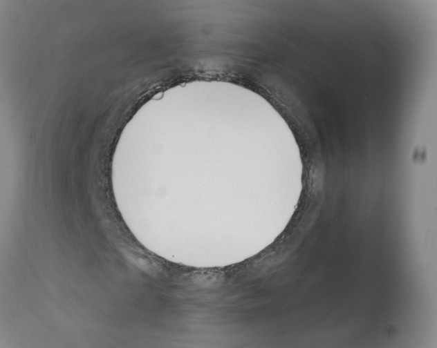 X0000110900865200907301604