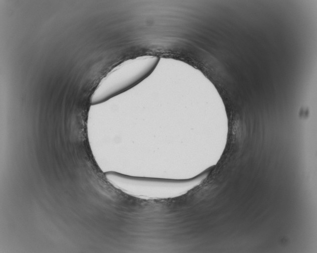 X0000110900868200907301604