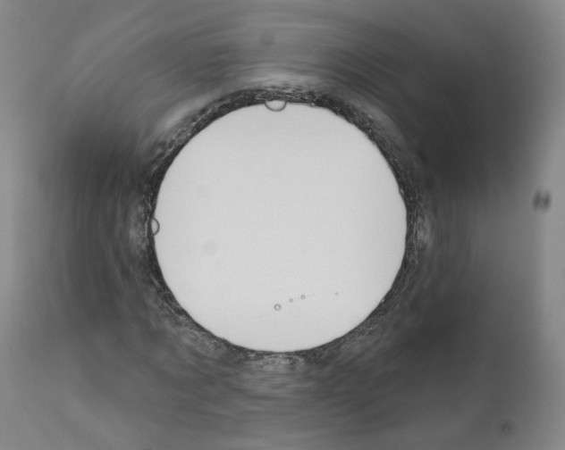 X0000110900869200907301604