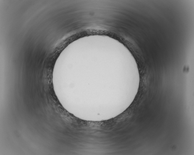 X0000110900870200907301604