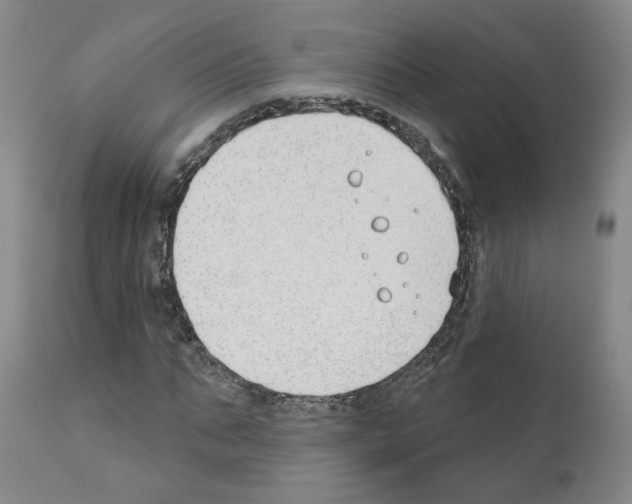 X0000110900871200907301604