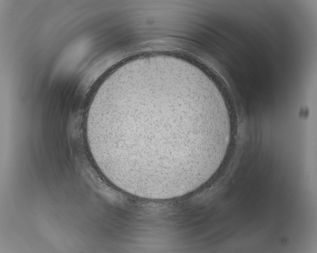 X0000110900874200907301604