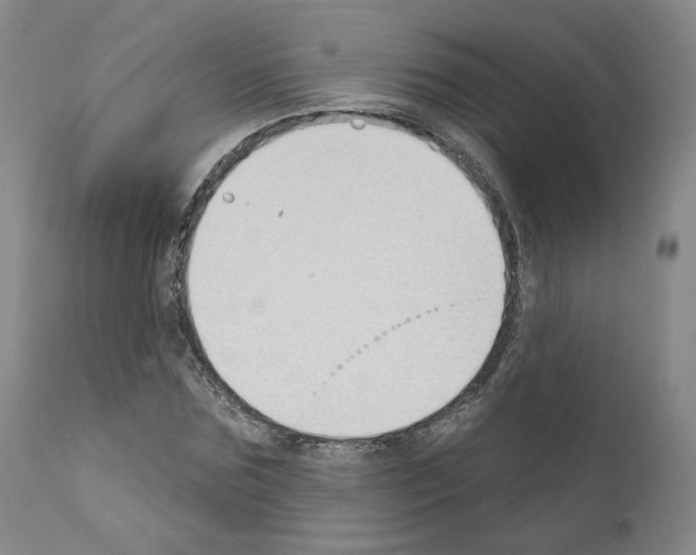 X0000110900875200907301604