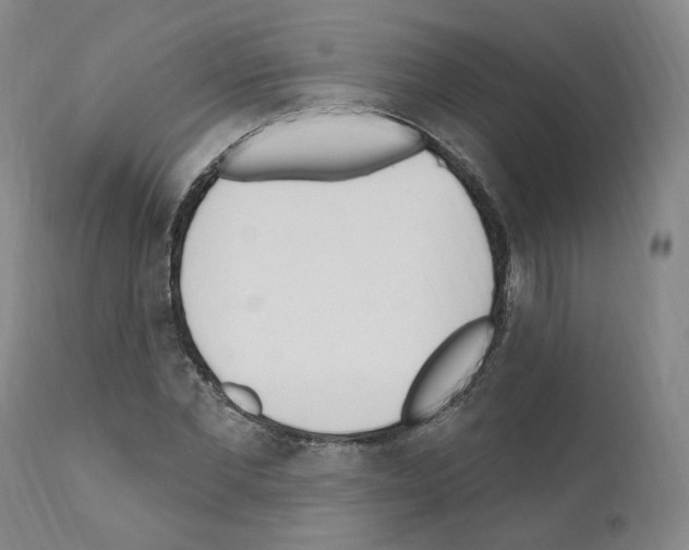 X0000110900877200907301604