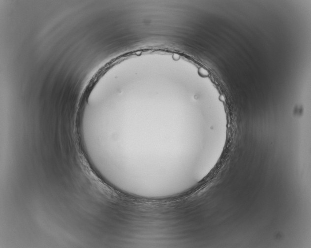 X0000110900880200907301604