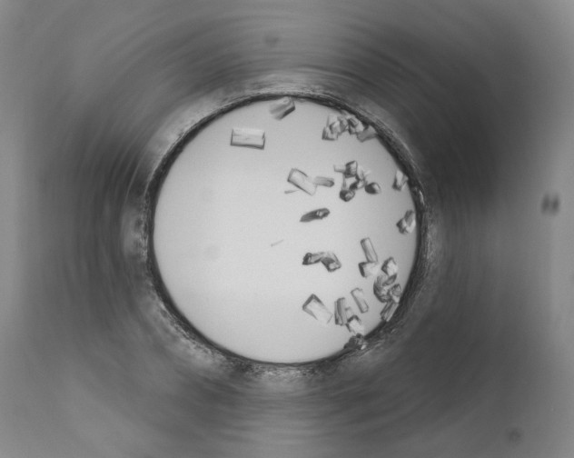 X0000110900882200907301604