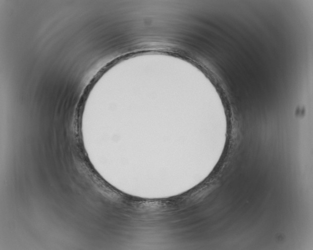 X0000110900883200907301604