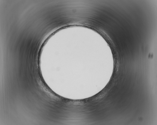 X0000110900884200907301604