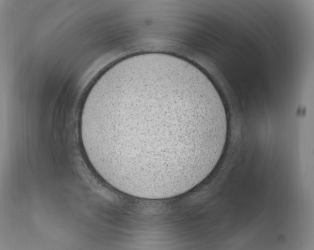 X0000110900886200907301604