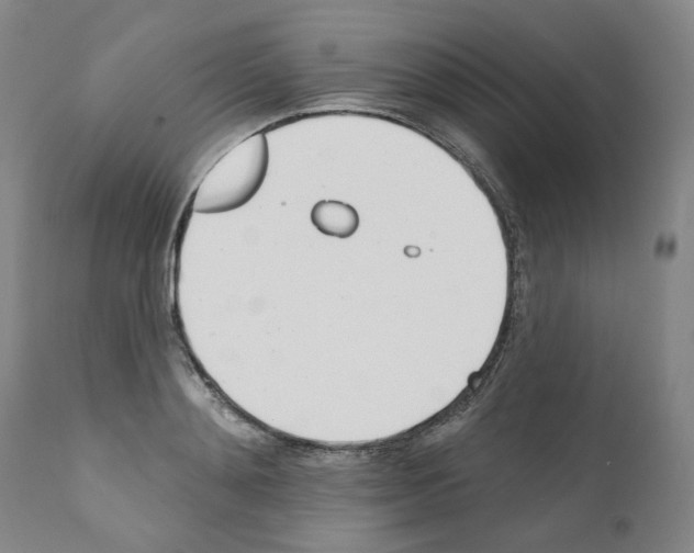 X0000110900892200907301604