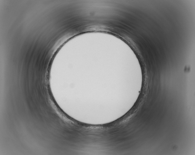 X0000110900893200907301604