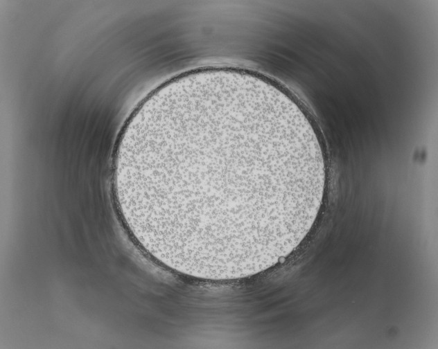 X0000110900895200907301604