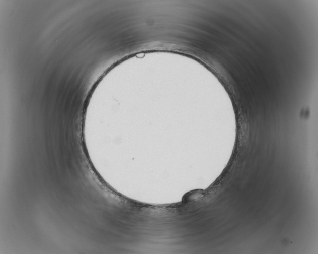 X0000110900896200907301604