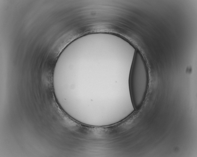 X0000110900897200907301604