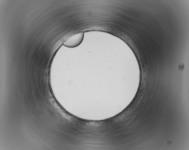 X0000110900898200907301604