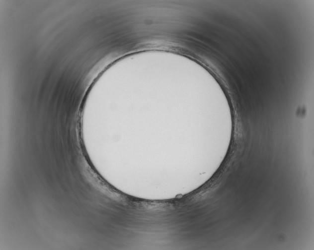 X0000110900899200907301604