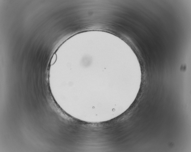 X0000110900900200907301604