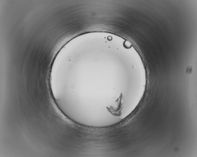 X0000110900901200907301604