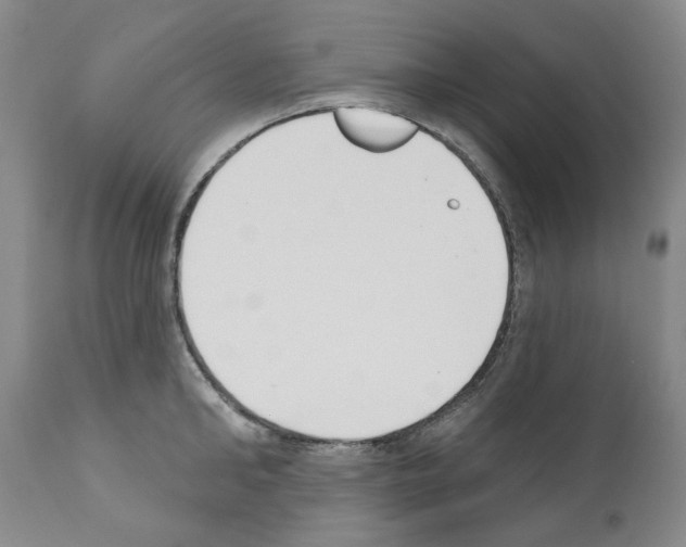 X0000110900902200907301604