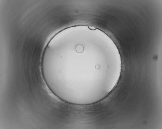 X0000110900904200907301604