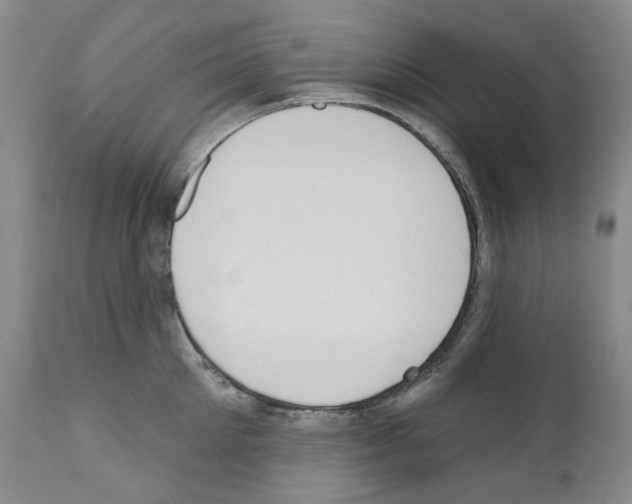 X0000110900905200907301604