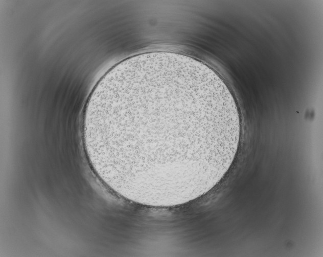 X0000110900907200907301604