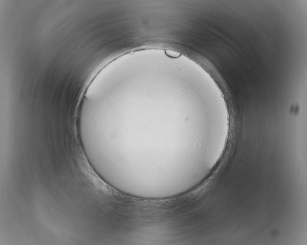 X0000110900908200907301604