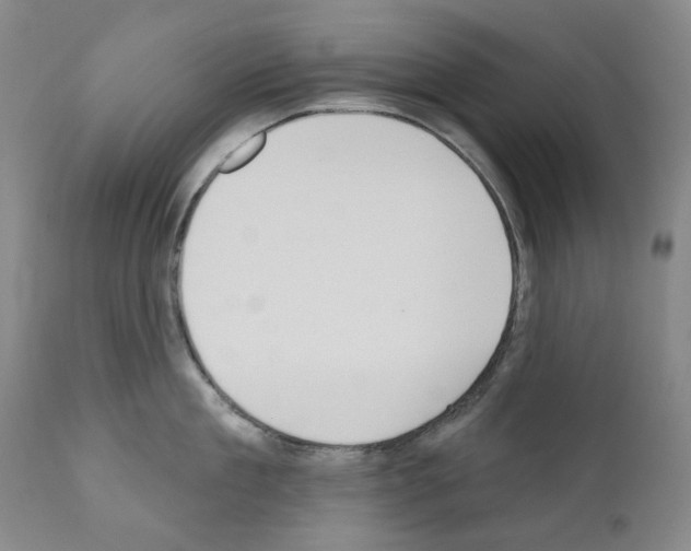 X0000110900909200907301604