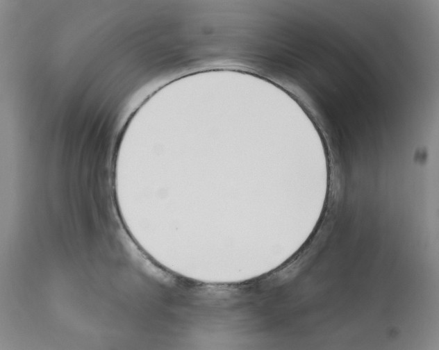 X0000110900910200907301604