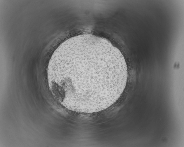 X0000110900913200907301603