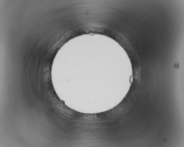 X0000110900915200907301603