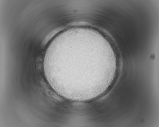 X0000110900921200907301603