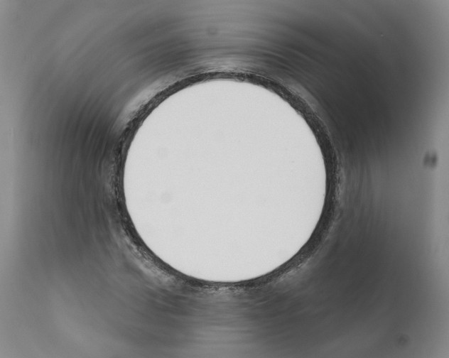 X0000110900922200907301603