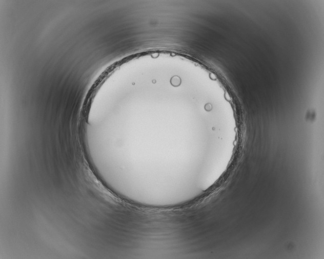 X0000110900924200907301603