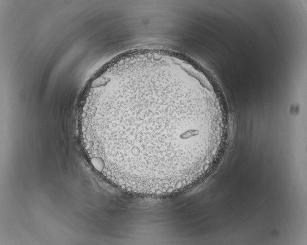 X0000110900925200907301603