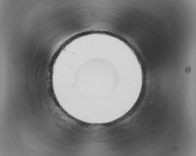 X0000110900926200907301603