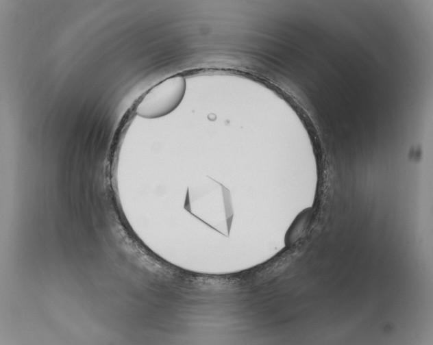 X0000110900928200907301603