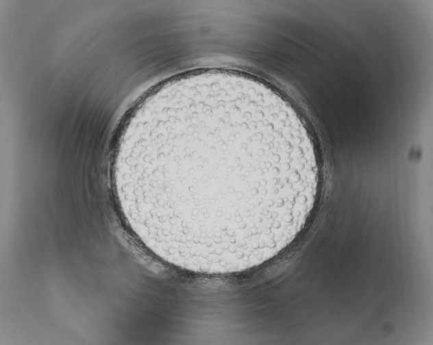 X0000110900931200907301603