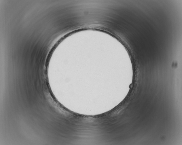 X0000110900932200907301603