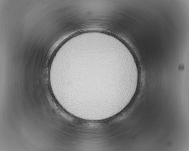 X0000110900933200907301603