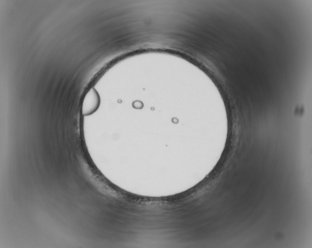 X0000110900934200907301603