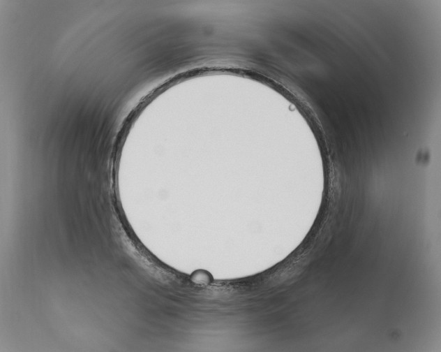 X0000110900935200907301603